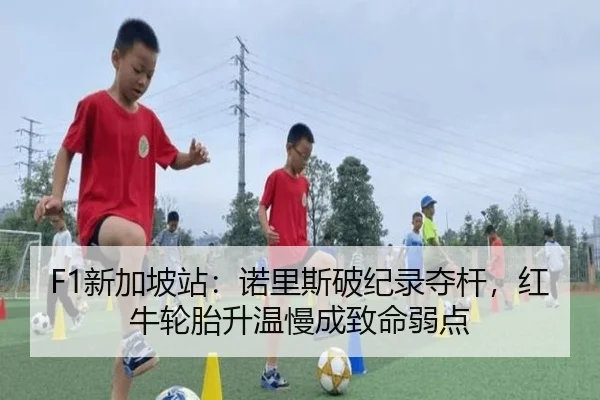 F1新加坡站：诺里斯破纪录夺杆，红牛轮胎升温慢成致命弱点